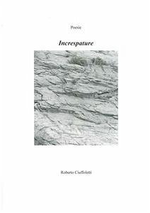 Increspature (eBook, ePUB) - Ciuffoletti, Roberto