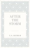 After the storm (eBook, ePUB)