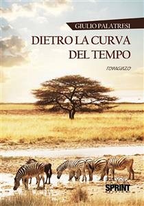 Dietro la curva del tempo (eBook, ePUB) - Palatresi, Giulio