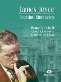 James Joyce. Triestine Itineraries (eBook, ePUB)