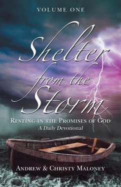 Cover Shelter from the Storm (eBook, ePUB)