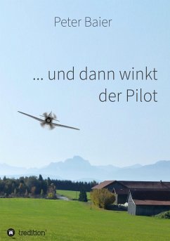 ... und dann winkt der Pilot - Baier, Peter