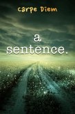 A Sentence (eBook, ePUB)