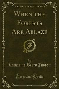 When the Forests Are Ablaze (eBook, PDF) - Berry Judson, Katharine