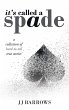 It's Called a Spade (eBook, ePUB) - Bild 1