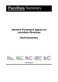 Garment Pressing & Agents for Laundries Revenues World Summary (eBook, ePUB)