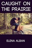 Caught on the Prairie: Taboo BDSM Erotica (eBook, ePUB)