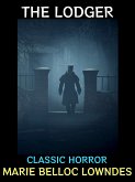 The Lodger (eBook, ePUB)