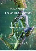 Il fanciullo nascosto (eBook, ePUB)