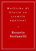 Molliche di Gloria su tremila aquiloni (eBook, ePUB)