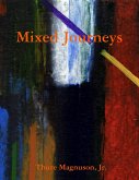 Mixed Journeys (eBook, ePUB)