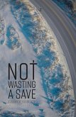 Not Wasting a Save (eBook, ePUB)