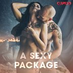 A Sexy Package (MP3-Download)