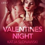 Valentine's Night - Erotic Short Story (MP3-Download)