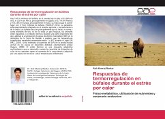 Respuestas de termorregulación en búfalos durante el estrés por calor