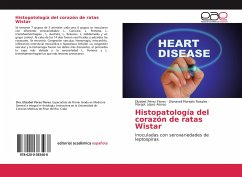 Histopatología del corazón de ratas Wistar