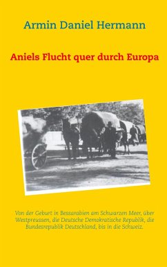 Aniels Flucht durch ganz Europa - Hermann, Armin Daniel