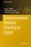 Environmental Remote Sensing in Egypt (eBook, PDF)
