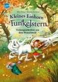 Vorlesegeschichten aus dem Wunschwald / Kleines Einhorn Funkelstern Bd.0