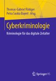 Cyberkriminologie (eBook, PDF)