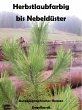Herbstlaubfarbig bis Nebeldüster... - Bild 1