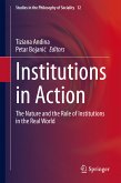 Institutions in Action (eBook, PDF)