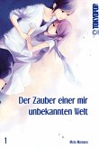 Der Zauber einer mir unbekannten Welt Bd.1 (eBook, PDF)