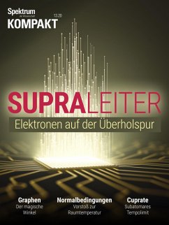 Cover Spektrum Kompakt - Supraleiter (eBook, PDF)