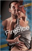 Fire&Ice 14 - Taylor Falk (eBook, ePUB)