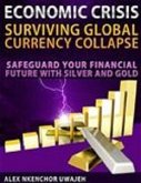 Economic Crisis: Surviving Global Currency Collapse - Safeguard Your Financial Future with Silver and Gold (eBook, ePUB)