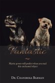 Fantastic (eBook, ePUB)