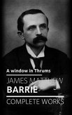 A window in Thrums (eBook, ePUB)