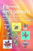 Groei orchideeën bij u thuis. (eBook, ePUB)