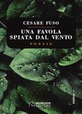 Una favola spiata dal vento (eBook, PDF)