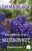 Un cowboy tra i Bluebonnet (eBook, ePUB)