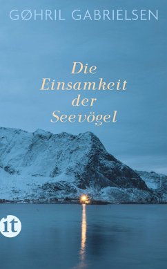 Die Einsamkeit der Seevögel - Gabrielsen, Gøhril