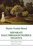 Separati dall'irrangiungibile felicità (eBook, ePUB)