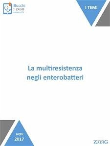 La multiresistenza negli enterobatteri (eBook, ePUB) - Bagnato, Silvia