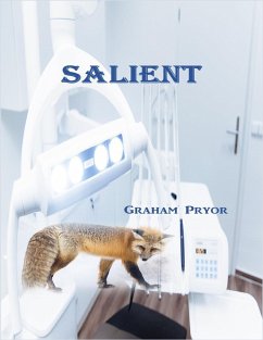 Cover Salient (eBook, ePUB)
