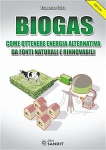 Biogas (eBook, PDF) - Calza, Francesco