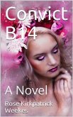 Convict B14 (eBook, PDF)