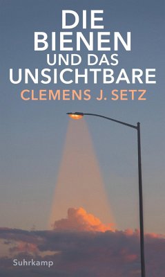 Die Bienen und das Unsichtbare - Setz, Clemens J.
