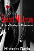 Secret Mistress (eBook, ePUB)
