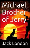Michael, Brother of Jerry (eBook, PDF)
