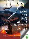 Non può far molto battito di ali (eBook, ePUB)