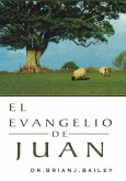 El evangelio de Juan (eBook, ePUB)