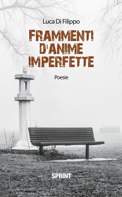 Frammenti d'anime imperfette (eBook, ePUB) - Di Filippo, Luca