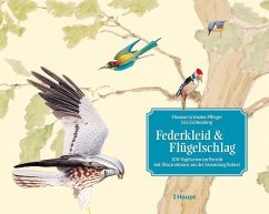 Federkleid & Flügelschlag - Griesohn-Pflieger, Thomas;Lichtenberg, Iris