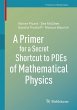 A Primer for a Secret Shortcut to PDEs... - Bild 1