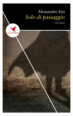 Solo di passaggio (eBook, ePUB) - Izzi, Alessandro